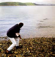 New Scientist. Science news and long reads from expert journalists, covering developments in science, technology, health and the environment on the website and the magazine.