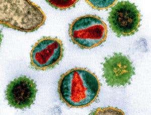 New Scientist. Science news and long reads from expert journalists, covering developments in science, technology, health and the environment on the website and the magazine.