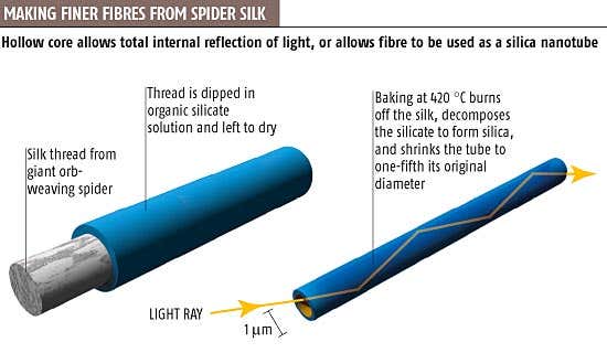 Spider silk delivers finest optical fibres