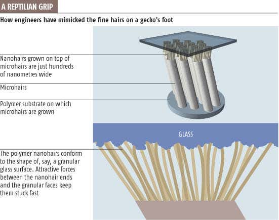 New Scientist. Science news and long reads from expert journalists, covering developments in science, technology, health and the environment on the website and the magazine.