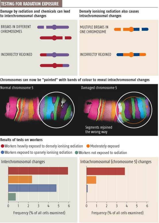 Geiger counter in every human revealed