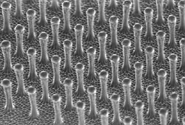 Gecko tape will stick you to ceiling