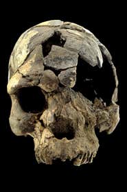 New Scientist. Science news and long reads from expert journalists, covering developments in science, technology, health and the environment on the website and the magazine.