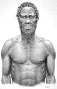 Dawn of human race uncovered