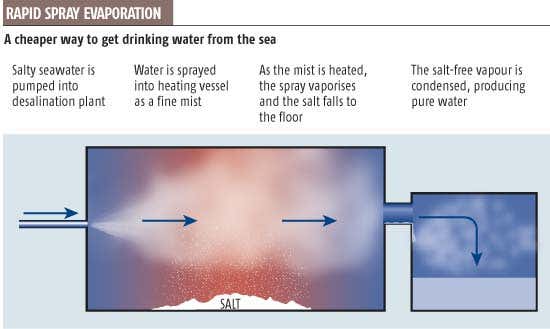 Gladiator-style 'wars' select out weak programs