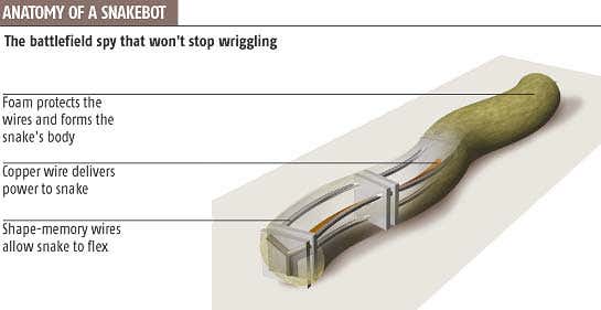 New Scientist. Science news and long reads from expert journalists, covering developments in science, technology, health and the environment on the website and the magazine.