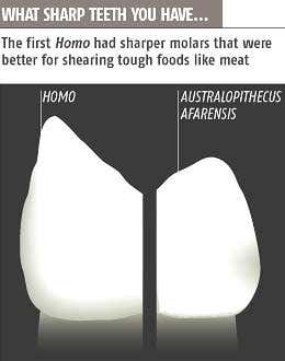 New Scientist. Science news and long reads from expert journalists, covering developments in science, technology, health and the environment on the website and the magazine.