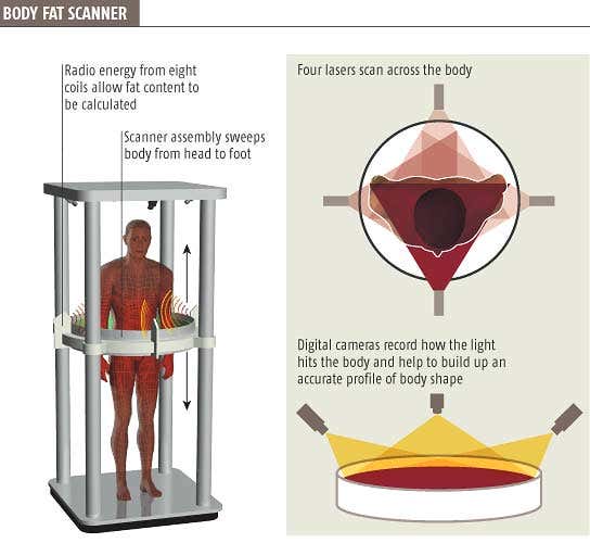 Scanner pictures body's hidden fat