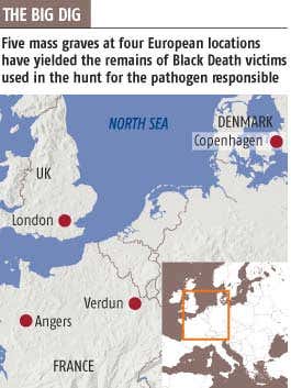 New Scientist. Science news and long reads from expert journalists, covering developments in science, technology, health and the environment on the website and the magazine.
