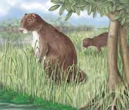 New Scientist. Science news and long reads from expert journalists, covering developments in science, technology, health and the environment on the website and the magazine.