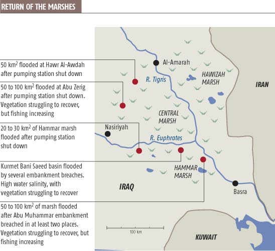 Iraqis reclaim their ancient wetlands