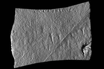 New Scientist. Science news and long reads from expert journalists, covering developments in science, technology, health and the environment on the website and the magazine.