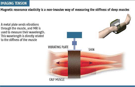 Painless way to gauge deep muscle stiffness