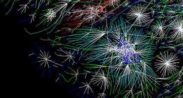 Internet mapping project weaves colourful web