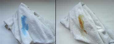 Disgust is good for you, shows study