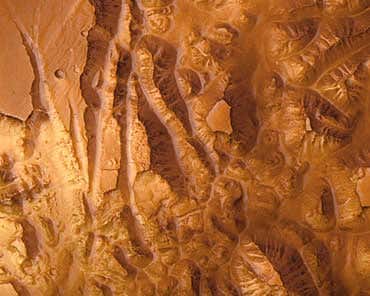 New Scientist. Science news and long reads from expert journalists, covering developments in science, technology, health and the environment on the website and the magazine.