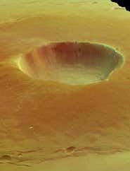 New Scientist. Science news and long reads from expert journalists, covering developments in science, technology, health and the environment on the website and the magazine.