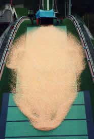 New Scientist. Science news and long reads from expert journalists, covering developments in science, technology, health and the environment on the website and the magazine.