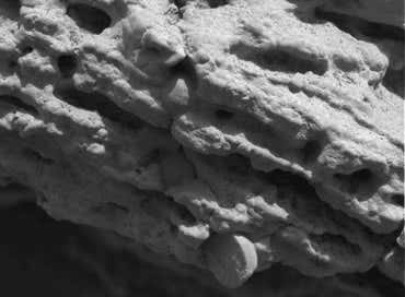 New Scientist. Science news and long reads from expert journalists, covering developments in science, technology, health and the environment on the website and the magazine.