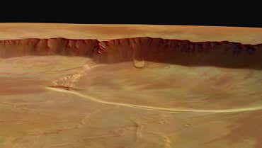 New Scientist. Science news and long reads from expert journalists, covering developments in science, technology, health and the environment on the website and the magazine.