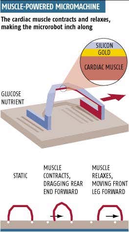New Scientist. Science news and long reads from expert journalists, covering developments in science, technology, health and the environment on the website and the magazine.