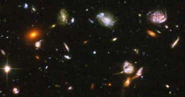 New Scientist. Science news and long reads from expert journalists, covering developments in science, technology, health and the environment on the website and the magazine.