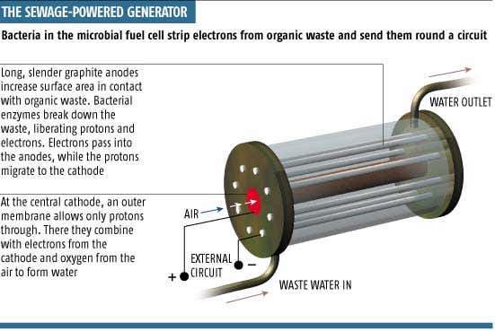 New Scientist. Science news and long reads from expert journalists, covering developments in science, technology, health and the environment on the website and the magazine.