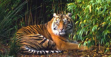 New Scientist. Science news and long reads from expert journalists, covering developments in science, technology, health and the environment on the website and the magazine.