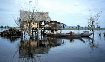 New Scientist. Science news and long reads from expert journalists, covering developments in science, technology, health and the environment on the website and the magazine.