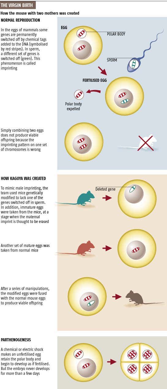 New Scientist. Science news and long reads from expert journalists, covering developments in science, technology, health and the environment on the website and the magazine.
