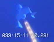 Impact site identified for biggest extinction