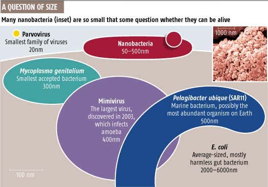 New Scientist. Science news and long reads from expert journalists, covering developments in science, technology, health and the environment on the website and the magazine.