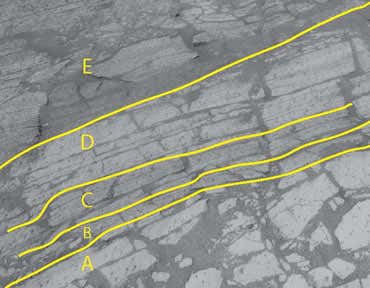 New Scientist. Science news and long reads from expert journalists, covering developments in science, technology, health and the environment on the website and the magazine.