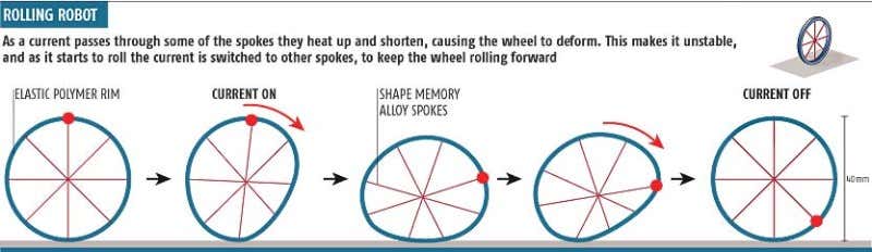 New Scientist. Science news and long reads from expert journalists, covering developments in science, technology, health and the environment on the website and the magazine.