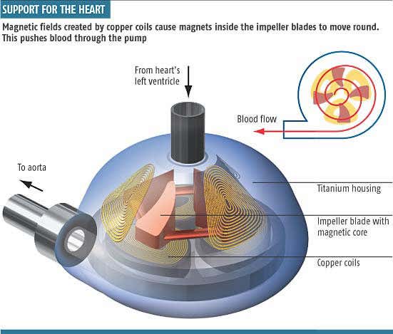 New Scientist. Science news and long reads from expert journalists, covering developments in science, technology, health and the environment on the website and the magazine.