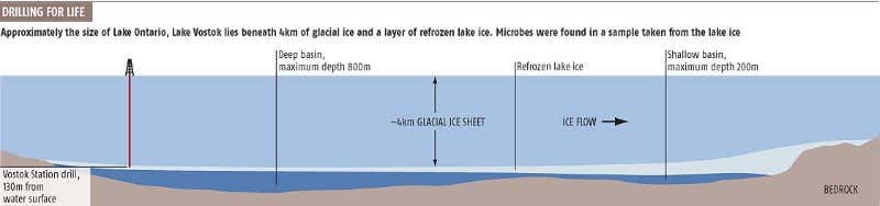 New Scientist. Science news and long reads from expert journalists, covering developments in science, technology, health and the environment on the website and the magazine.
