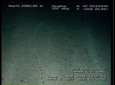 A puzzling set of tracks, resembling burrows were found at a depth of 2000 metres