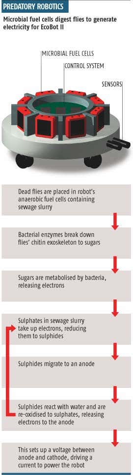 New Scientist. Science news and long reads from expert journalists, covering developments in science, technology, health and the environment on the website and the magazine.