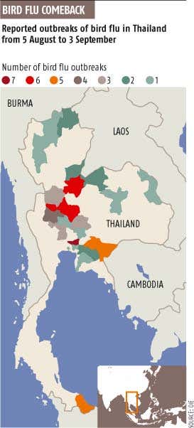 Lack of vaccine raises fears of flu pandemic