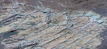 New Scientist. Science news and long reads from expert journalists, covering developments in science, technology, health and the environment on the website and the magazine.