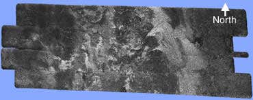 New Scientist. Science news and long reads from expert journalists, covering developments in science, technology, health and the environment on the website and the magazine.