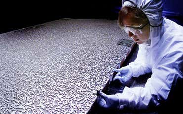 New Scientist. Science news and long reads from expert journalists, covering developments in science, technology, health and the environment on the website and the magazine.