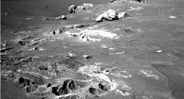 New Scientist. Science news and long reads from expert journalists, covering developments in science, technology, health and the environment on the website and the magazine.