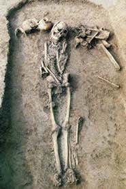 New Scientist. Science news and long reads from expert journalists, covering developments in science, technology, health and the environment on the website and the magazine.