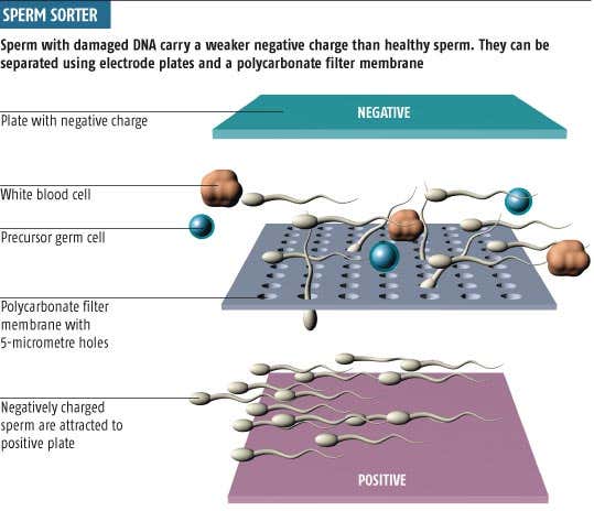New Scientist. Science news and long reads from expert journalists, covering developments in science, technology, health and the environment on the website and the magazine.