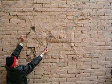 New Scientist. Science news and long reads from expert journalists, covering developments in science, technology, health and the environment on the website and the magazine.