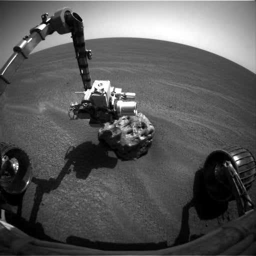 New Scientist. Science news and long reads from expert journalists, covering developments in science, technology, health and the environment on the website and the magazine.