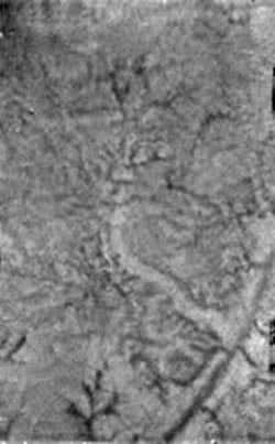 Dark channels on Titan's surface may have been formed by