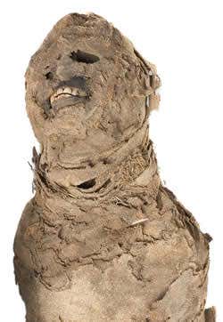 Mummified monkeys have been found buried alongside their owners