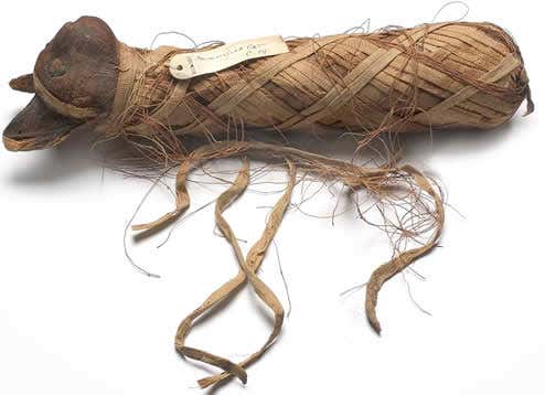 Menagerie of mummies unwraps ancient Egypt
